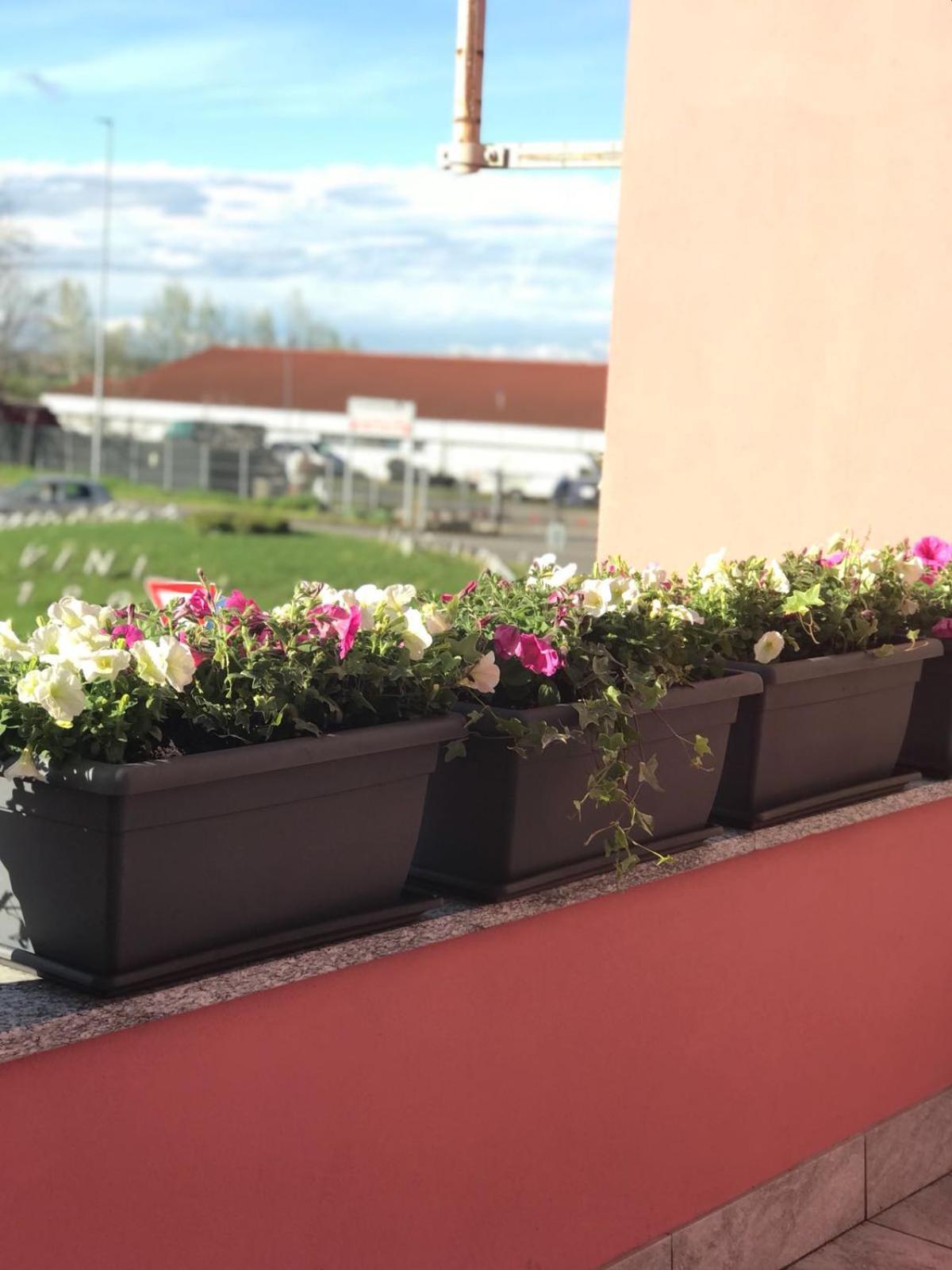 Bed & Breakfast Oltrepo Casteggio Exterior foto